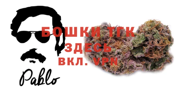 МДПВ Вяземский